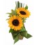 Mini Arranjo de Girassóis