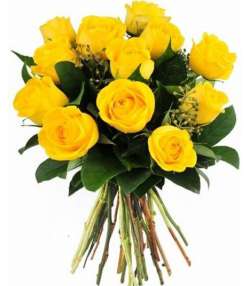 12 Rosas Amarelas