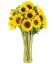 Arranjo 18 Girassóis