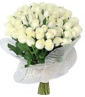 40 Rosas Brancas