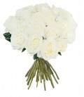 Rosas Brancas