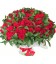 Buquê 200 Rosas Vista