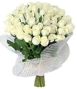 40 Rosas Brancas