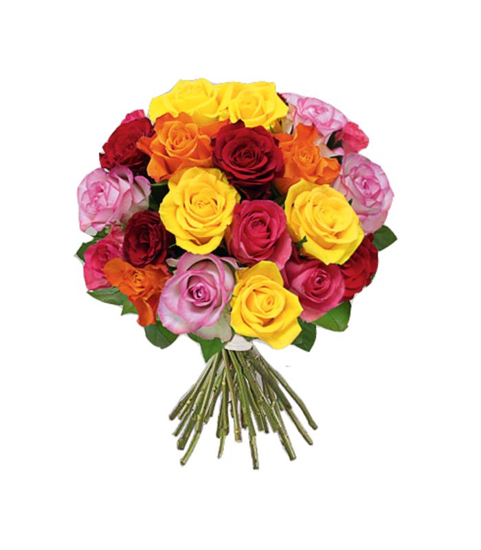 Buque de rosas coloridas | Mel Flores Vitória | Floricultura