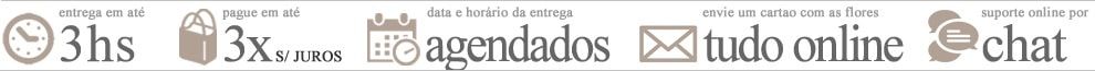 Info Floricultura em Vitória